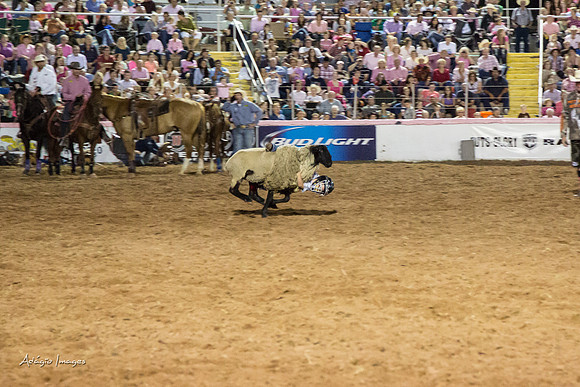 Dixie Roundup Rodeo 2013