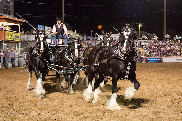 Dixie Roundup Rodeo 2013