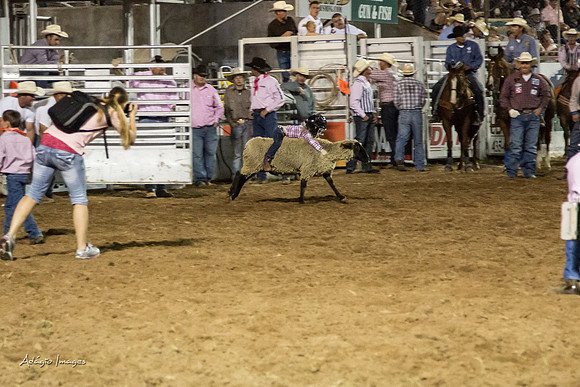 Dixie Roundup Rodeo 2013