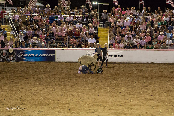 Dixie Roundup Rodeo 2013