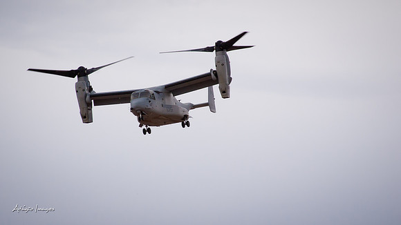 Thunder over Utah - Osprey