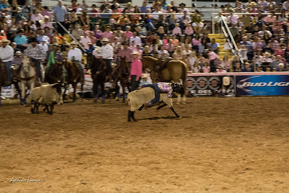 Dixie Roundup Rodeo 2013