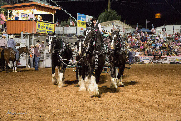 Dixie Roundup Rodeo 2013