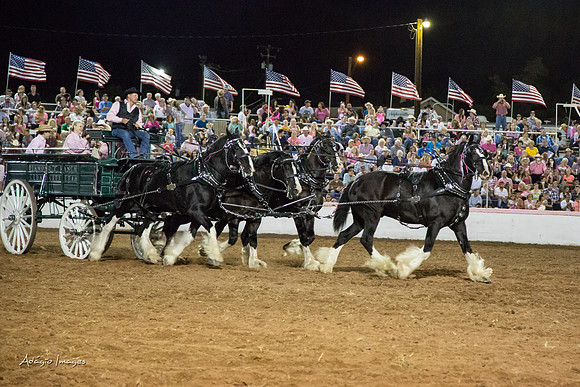 Dixie Roundup Rodeo 2013