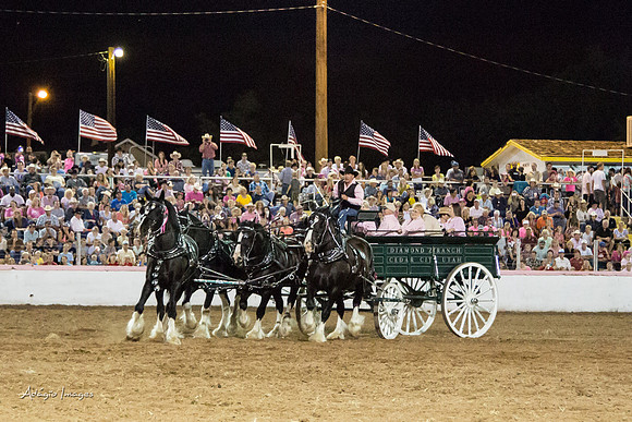 Dixie Roundup Rodeo 2013