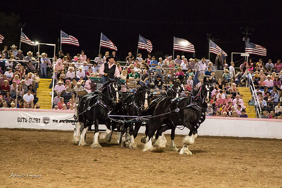 Dixie Roundup Rodeo 2013