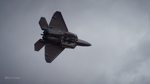 Thunder over Utah - Raptors
