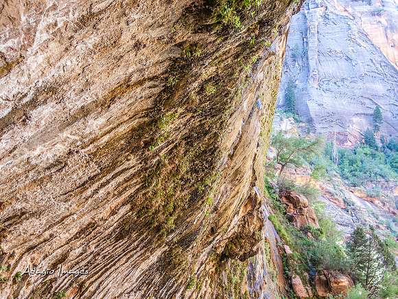 Zion National Park