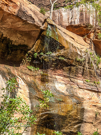 Zion National Park