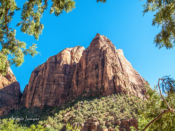 Zion National Park