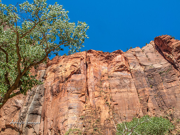 Zion National Park