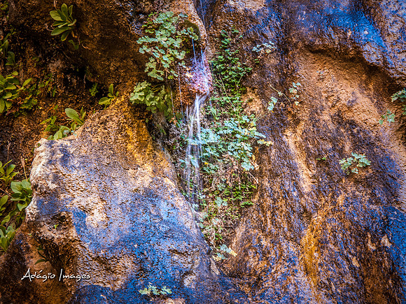 Zion National Park