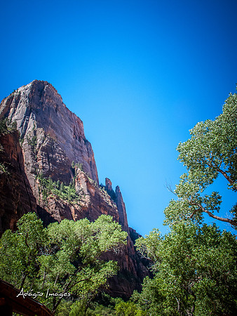 Zion National Park