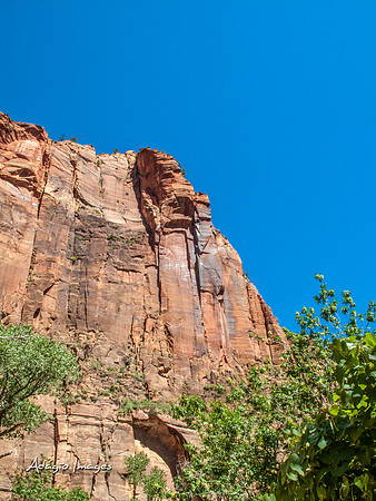 Zion National Park