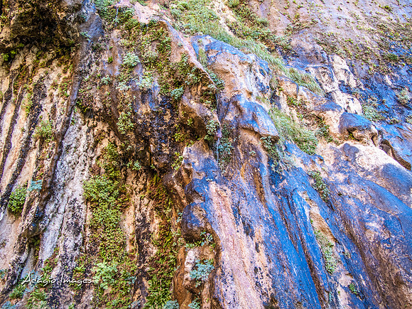 Zion National Park