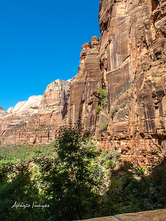 Zion National Park