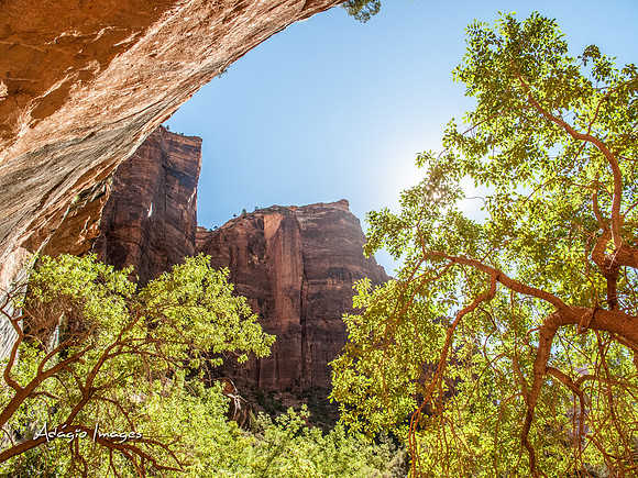 Zion National Park