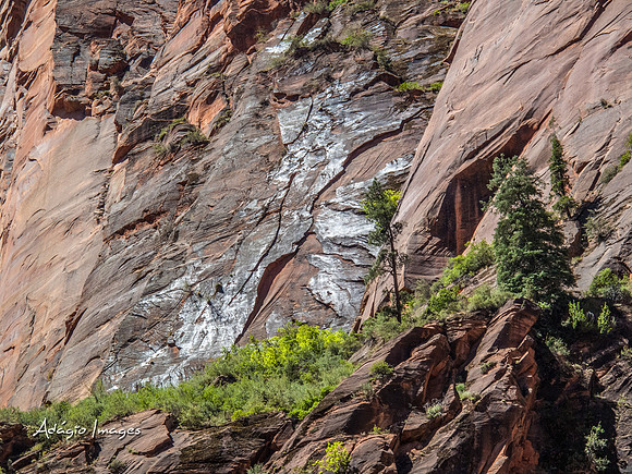 Zion National Park