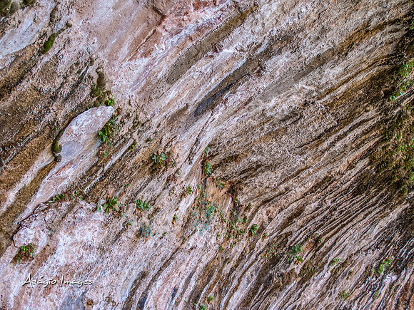 Zion National Park