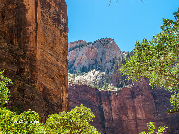 Zion National Park