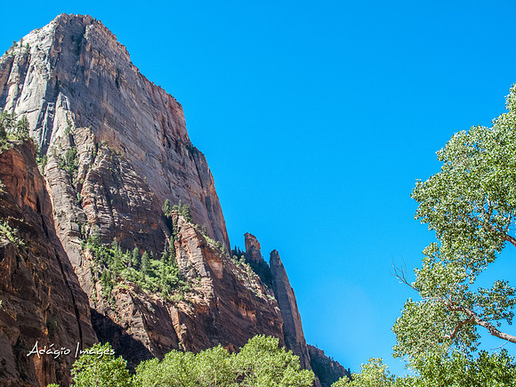 Zion National Park
