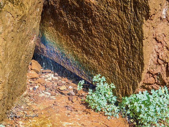 Zion National Park