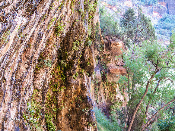 Zion National Park