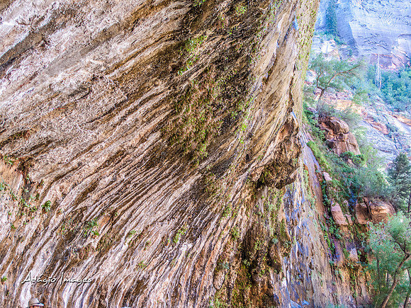 Zion National Park
