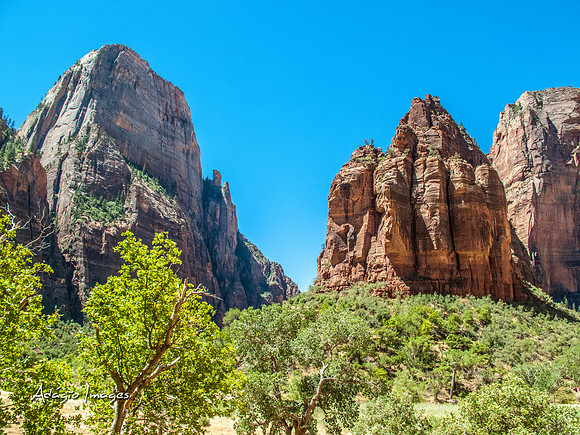 Zion National Park