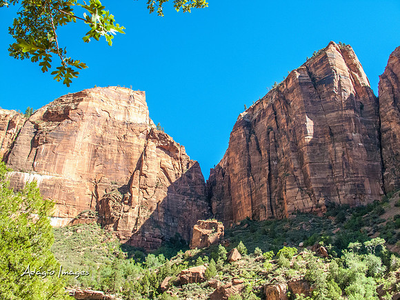 Zion National Park