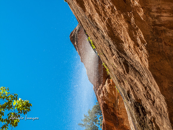 Zion National Park