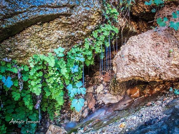 Zion National Park