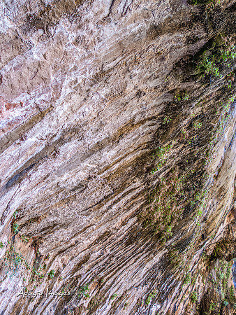Zion National Park