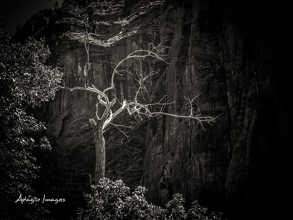 Zion National Park