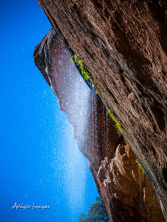 Zion National Park