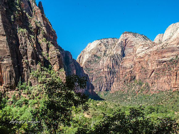 Zion National Park