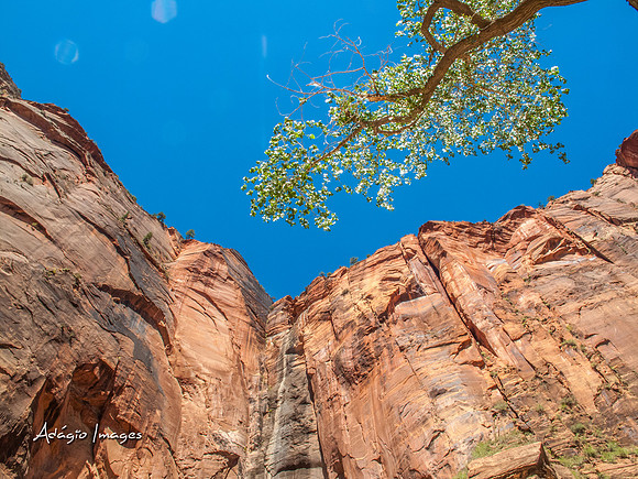 Zion National Park