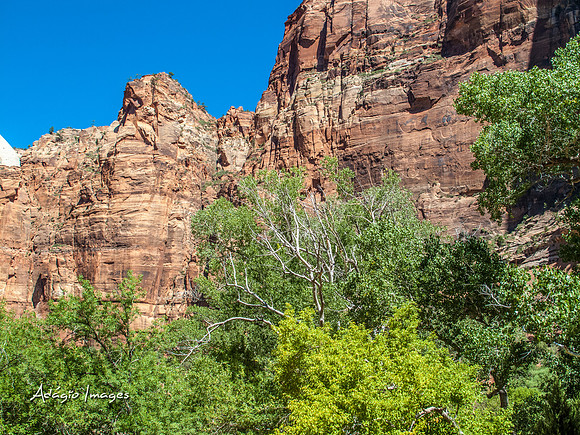 Zion National Park