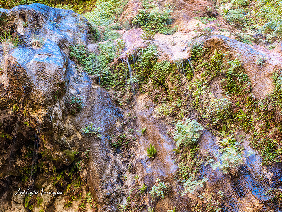 Zion National Park