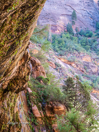 Zion National Park