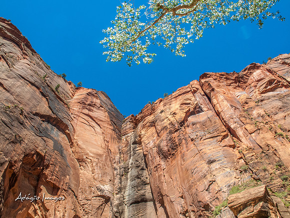 Zion National Park