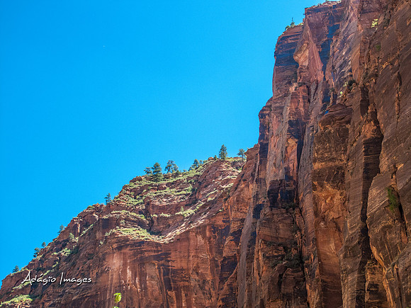 Zion National Park
