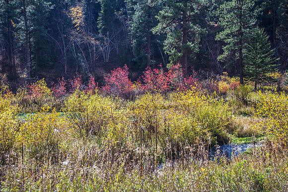 Spearfish Canyon