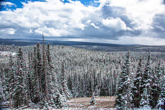 Yellowstone