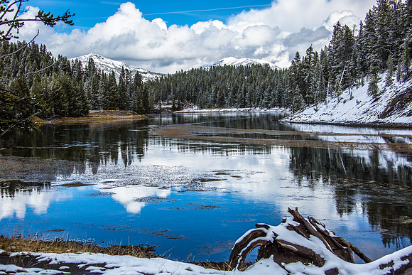 Yellowstone