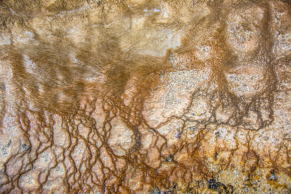 Yellowstone - Geyser
