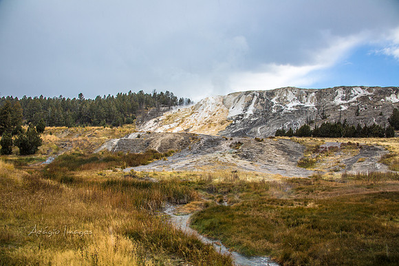 Yellowstone - Geyser