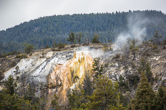 Yellowstone - Geyser