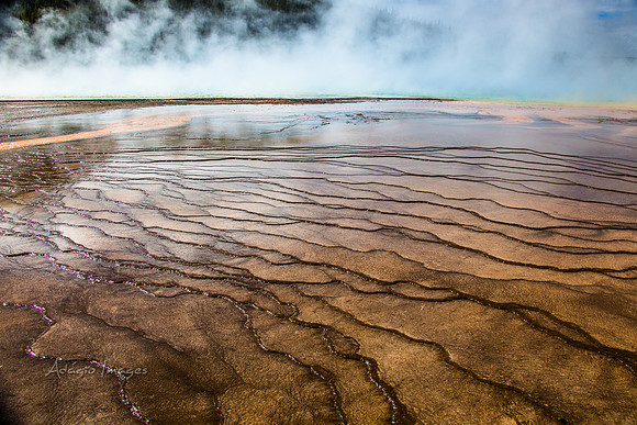 Yellowstone - Geyser