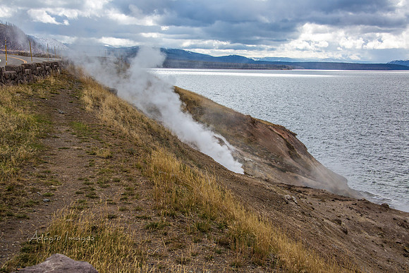 Yellowstone